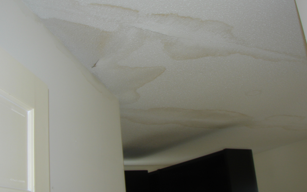 How To Repair Water Damaged Ceiling Plaster Plastering Blog - Drywall Or Plaster Ceiling