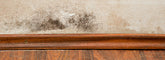 drywall mold