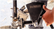 DeWalt Corner Finisher